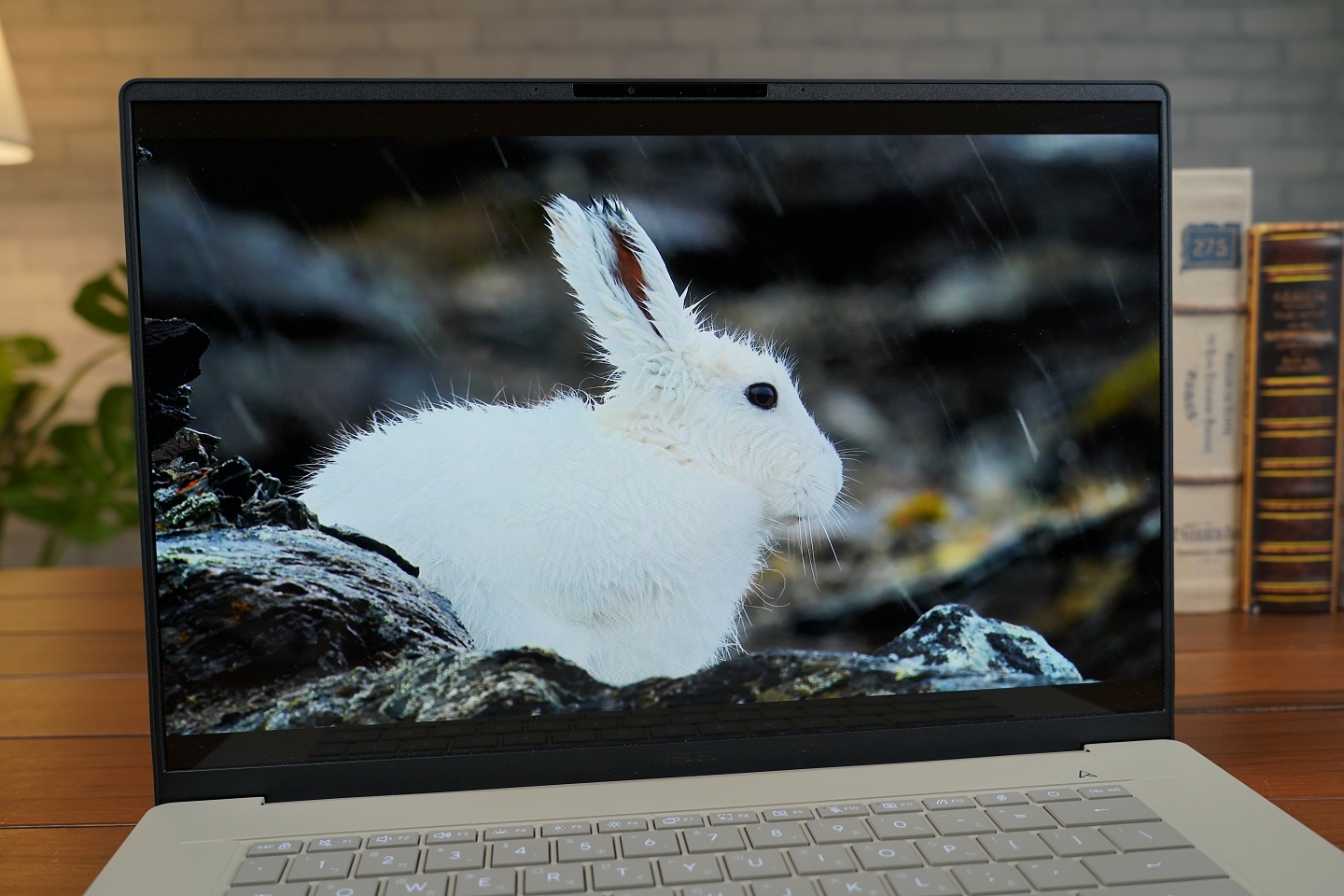 【評測】ASUS Zenbook A16 (UX3607OA) 開箱：金色機身我喜歡你啊 😍