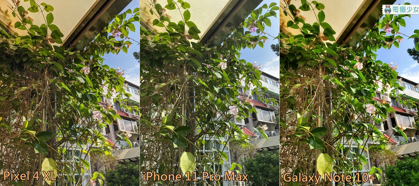 實測誰家手機比較厲害？Google Pixel 4 XL、iPhone 11 Pro Max、Samsung Galaxy Note 10+ 拍照、電力、手感綜合評比
