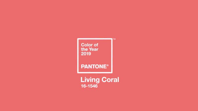 色彩權威Pantone公布2019年度色彩！『 Living Coral 活珊瑚橘 』溫暖又充滿生命力