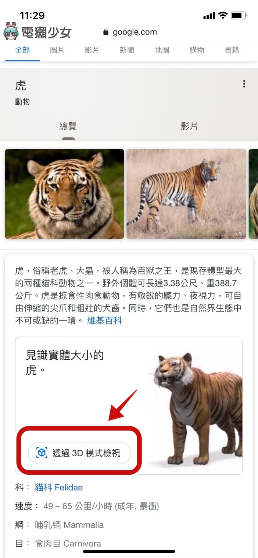 Google AR 搜尋好好玩！一秒讓家裡變成動物園 一起來跟老虎、企鵝拍照吧！