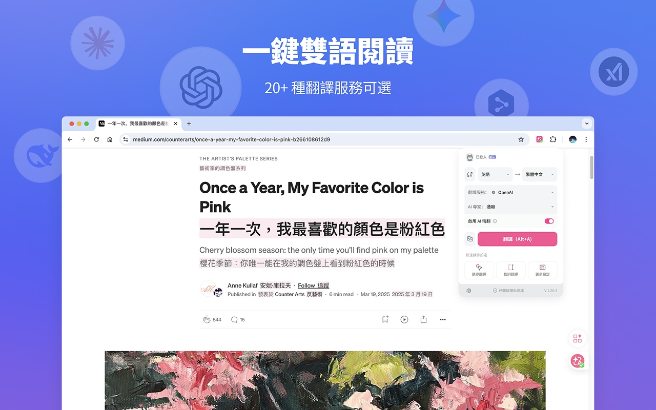 看不懂外文影片網頁?「沉浸式翻譯」這個免費外掛一次全解決!|電獺少女 看不懂外文影片網頁?「沉浸式翻譯」這個免費外掛一次全解決!|電獺少女