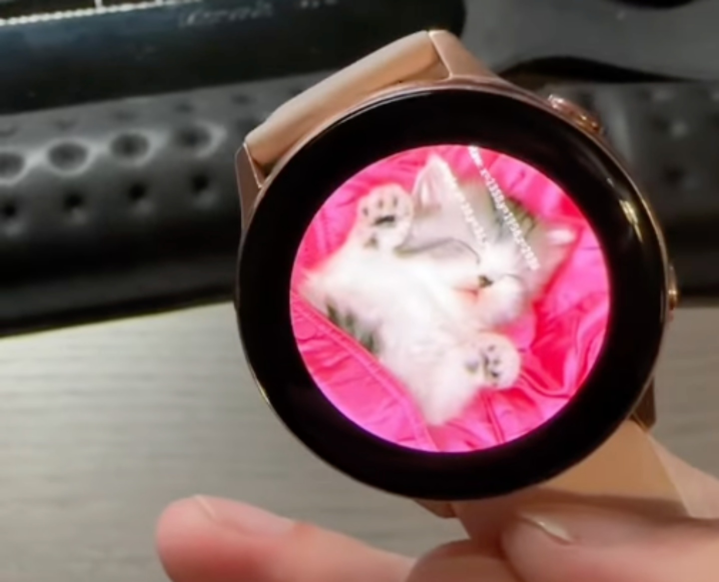 解密三星：為什麼三星手機裡會有吉娃娃？那你知道每支三星手錶裡都有一隻貓咪嗎？