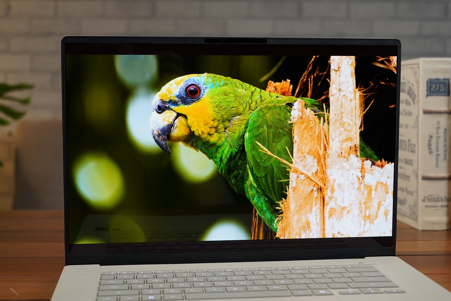 【評測】ASUS Zenbook A16 (UX3607OA) 開箱：金色機身我喜歡你啊 😍