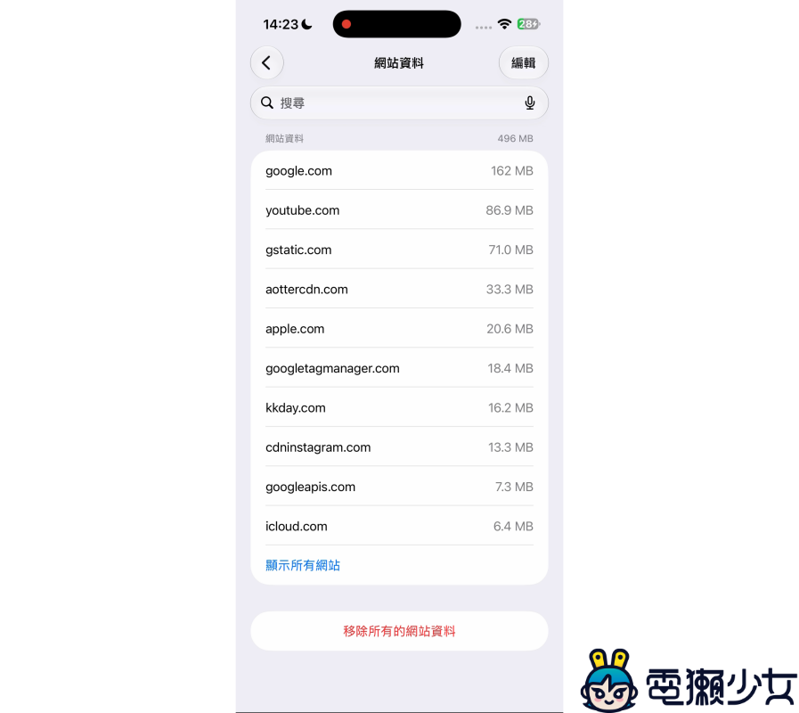 Safari 越用越卡？iPhone 網頁大掃除指南，教你無痛釋放空間！