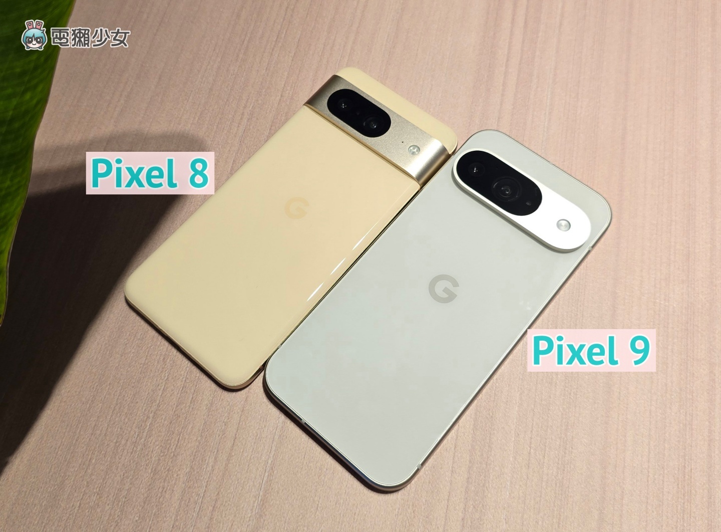 Google 新的 Pixel 9 該買嗎？Pixel 9 Pro XL 和前代價差六千元，到底差在哪？