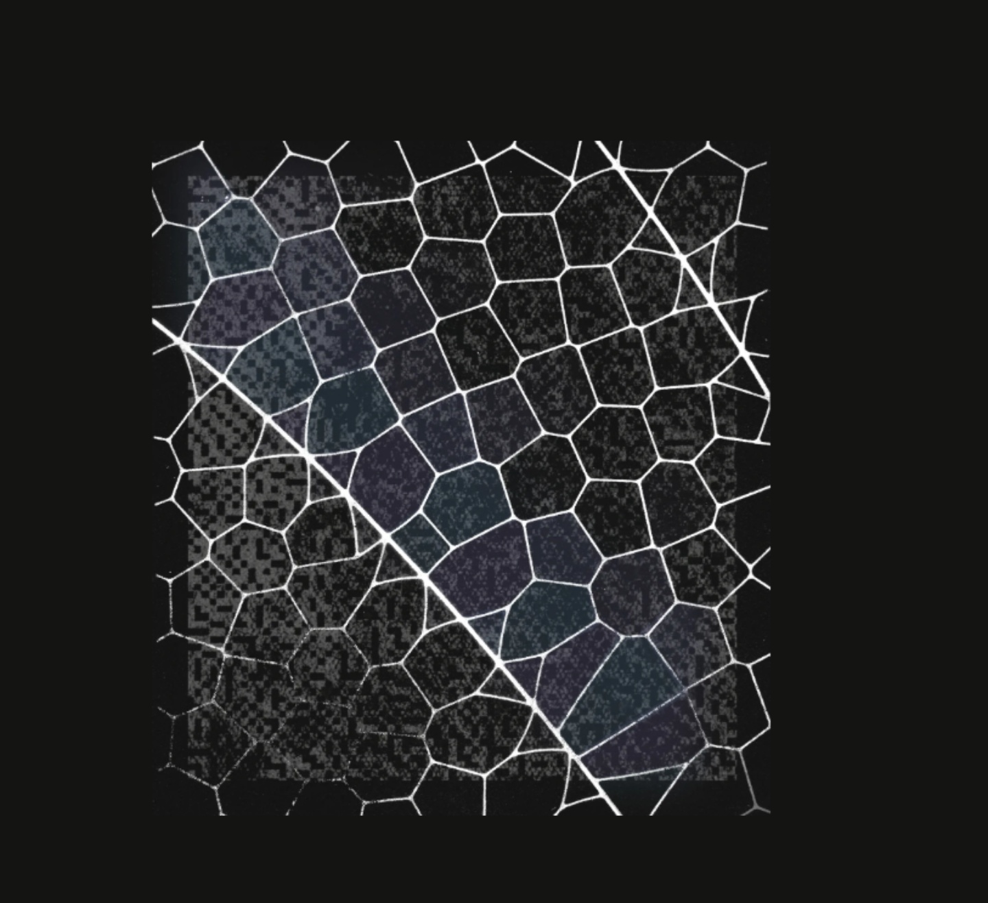 AI 公司不是只會燒錢！Anthropic Q2 營收傳翻倍，Claude 竟然讓它開始賺錢？