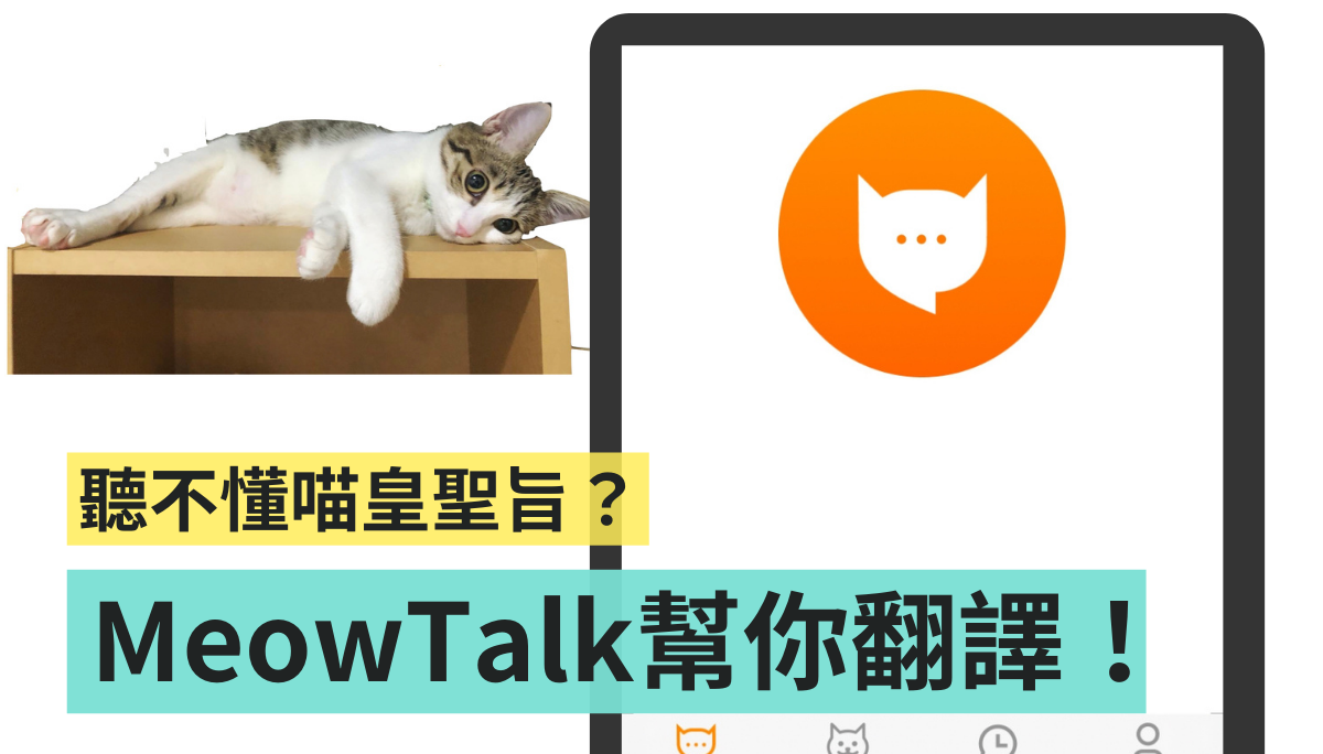 貓奴們看過來！喵語翻譯 App『 MeowTalk 』 讓你一秒聽懂喵皇聖旨 Android / iOS