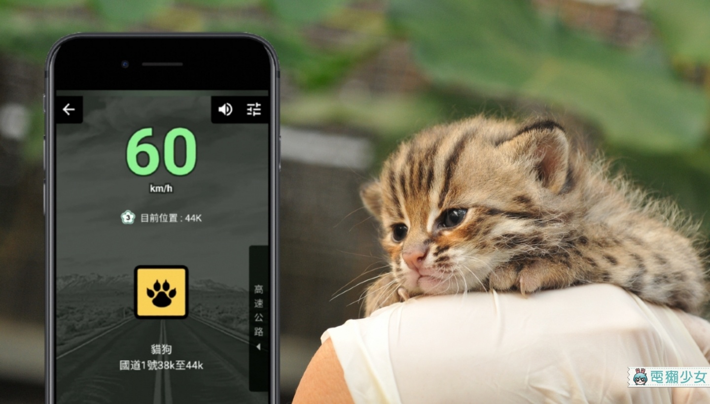 『 Omnie CUE 交通情報達人』全球第一款野生動物出沒提醒導航，讓小動物安全過馬路！Android/iOS