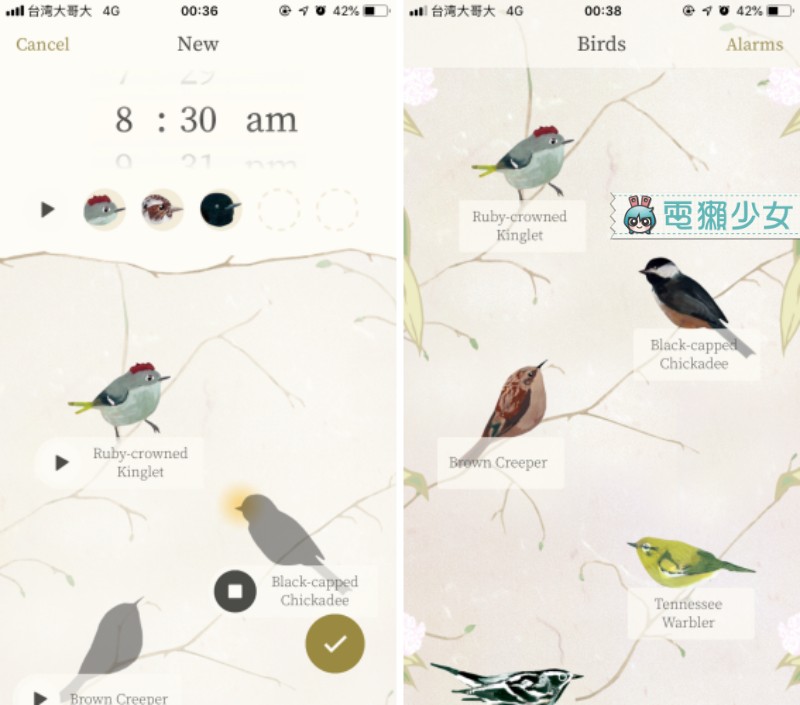 美好的一天就由鳥兒們喚醒『 dawn chorus 』鳥語鬧鐘還有鳥類圖鑑可看！Android / iOS