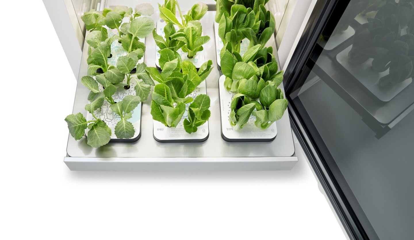 LG 推出智慧蔬菜箱『 Tiiun 』，在家也能吃到新鮮的有機蔬菜