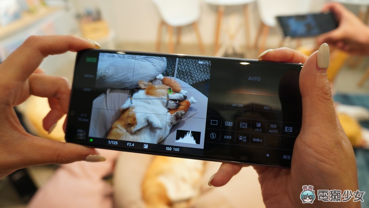 出門｜最適合拿來拍動物的手機『 Xperia 1 II 』動物眼追蹤＋高速連拍 寵物超好動的瞬間都可以拍出清晰的照片！