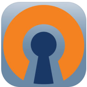 OpenVPN Connect