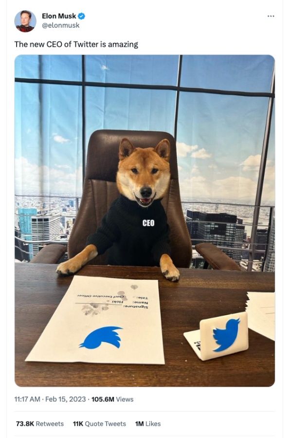 Twitter 新任 CEO 帶動狗狗幣上漲？馬斯克推文連發：這傢伙超級棒 雷厲風行數學又好！
