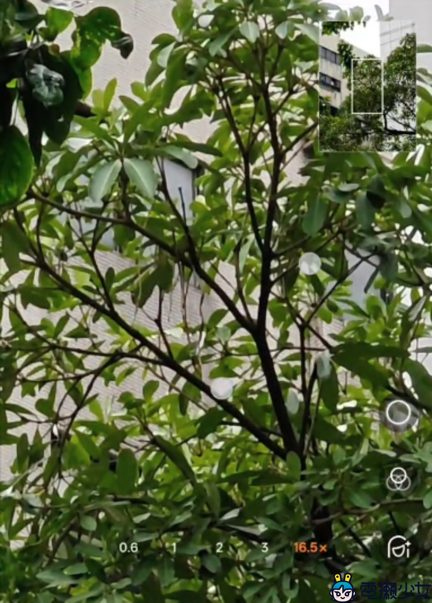 實測 OPPO Find N6「無感摺痕」真的能讓我們放棄平板？