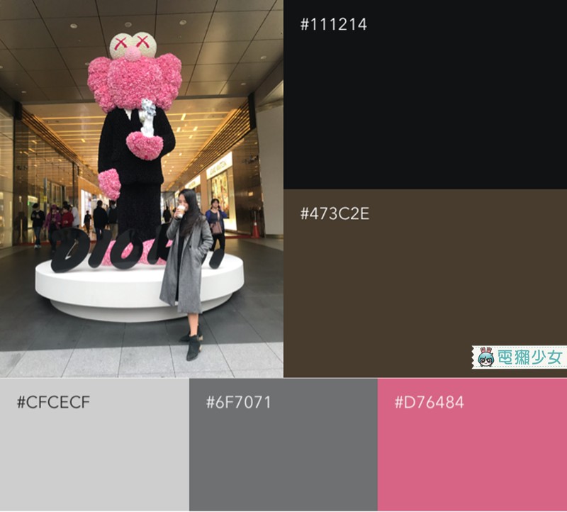 照片的主要顏色有哪些？『 irodori-color schemes 』幫你分析！iOS