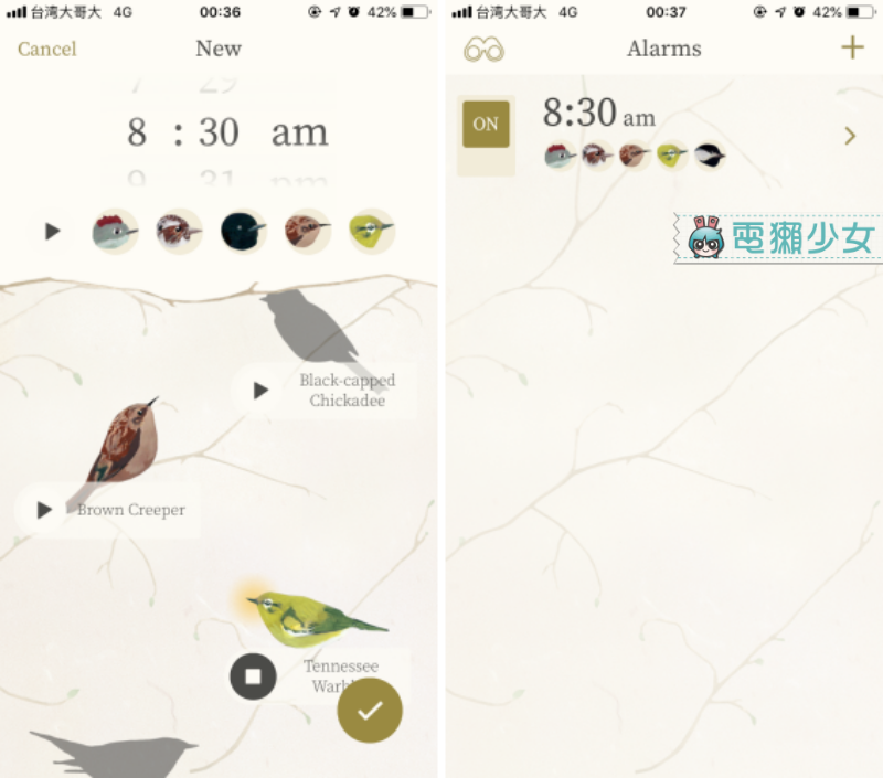 美好的一天就由鳥兒們喚醒『 dawn chorus 』鳥語鬧鐘還有鳥類圖鑑可看！Android / iOS