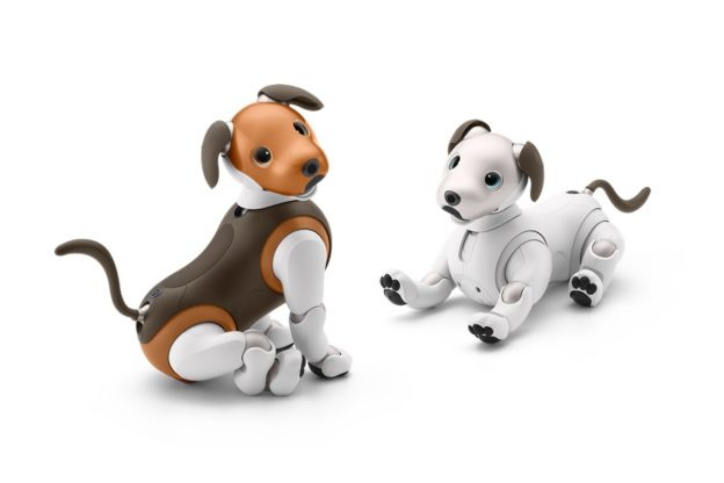 SONY aibo 機器狗進化！幫你控制家電，提醒你關冰箱門，最療癒的智能助理