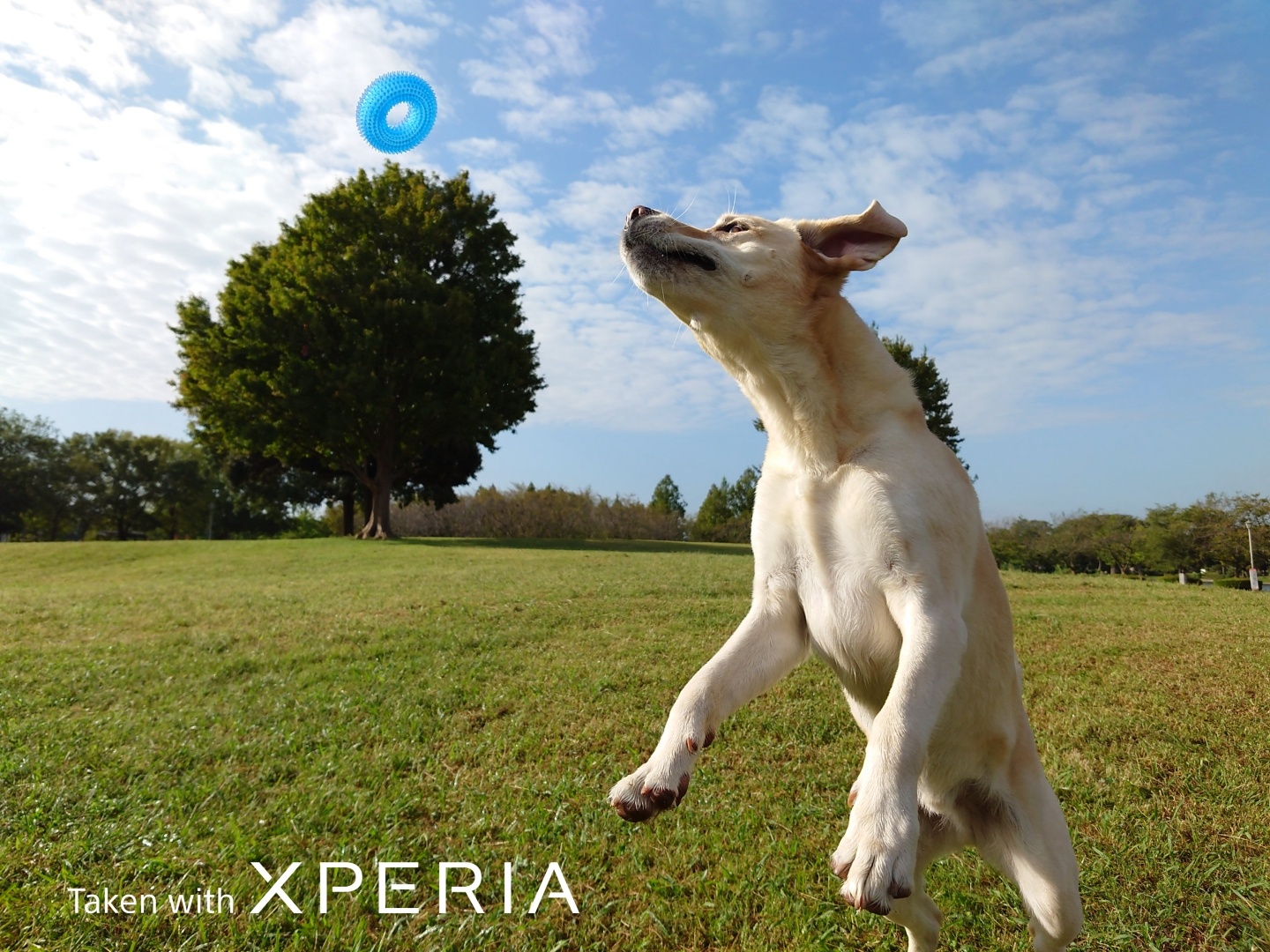 Sony 發表微單手機『 Xperia PRO-I 』預計年底正式推出！同場加映：Xperia 1 III 推出新色『 消光綠 』