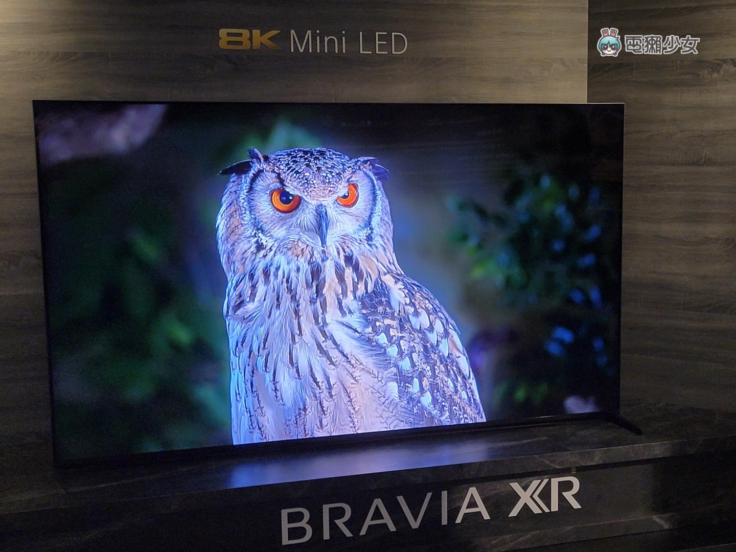 出門｜Sony BRAVIA XR 電視全系列皆為 PS5 推薦機種，體驗 OLED、Mini LED 的旗艦級顯色