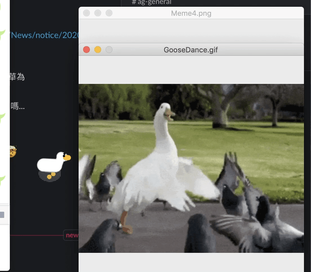 上班太煩？在電腦桌面上養隻鵝吧！可愛又可恨的『 無名的鵝 』游標程式，讓你的上班時光變得更有趣