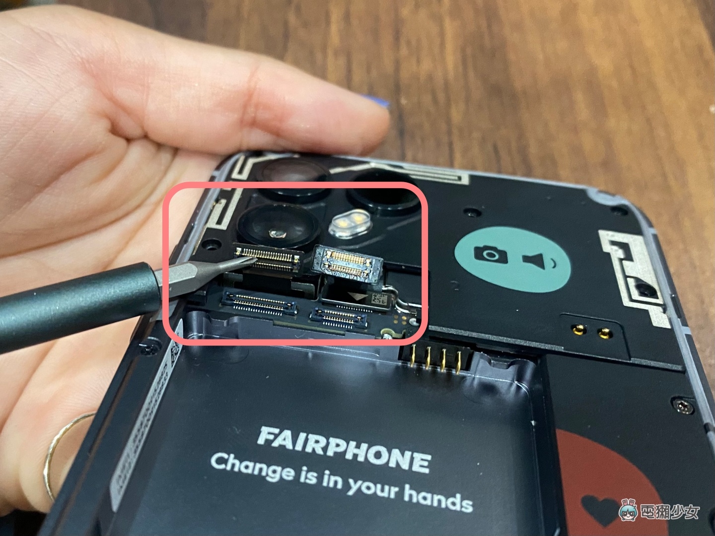 開箱｜拿到荷蘭來的 Fairphone 4 了！模組化手機可以輕鬆拆卸自己維修 不只省錢還超環保？