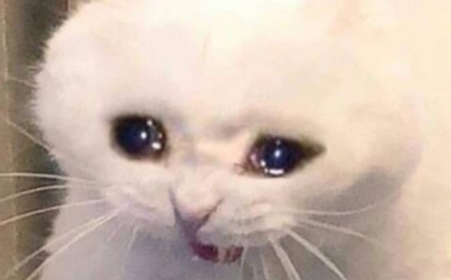 Google Photos 可以做梗圖？新功能「Me Meme」登場