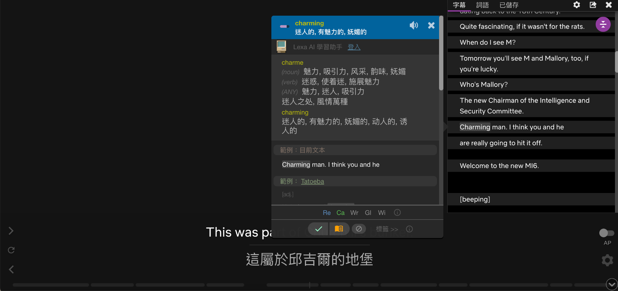 5 個必裝 Chrome 擴充功能：虛擬貓貓陪你工作、追劇視窗自由擺放、雙語字幕看劇學語言